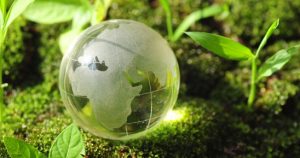 Toy Globe with Saplings